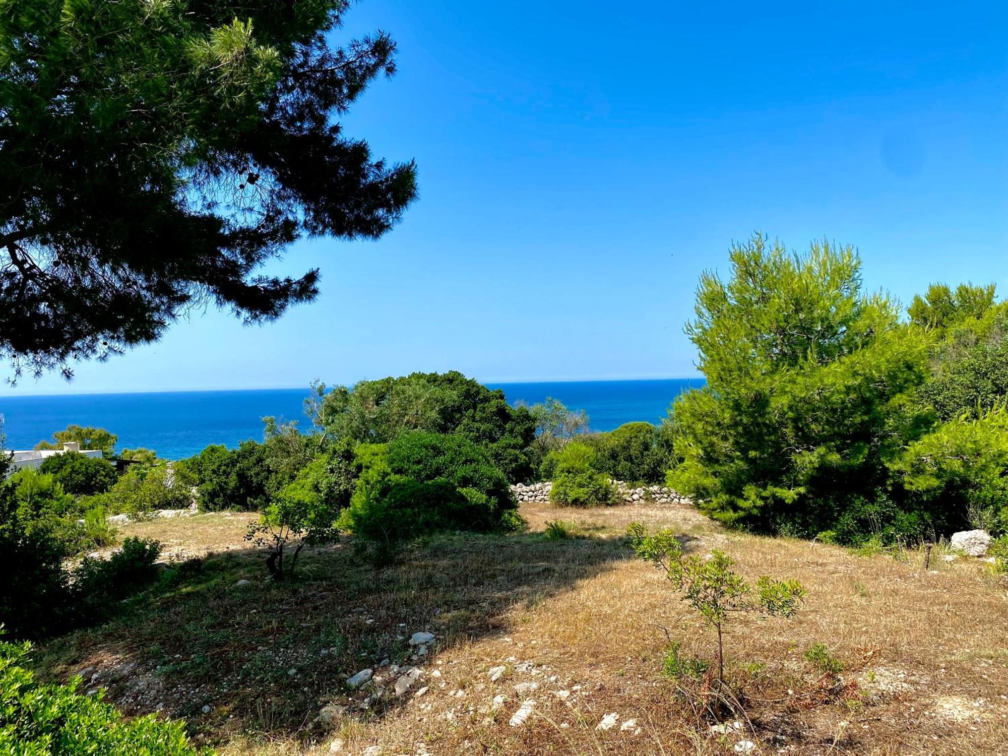 Pajara Alle Macchie Torre Vado Esterno foto